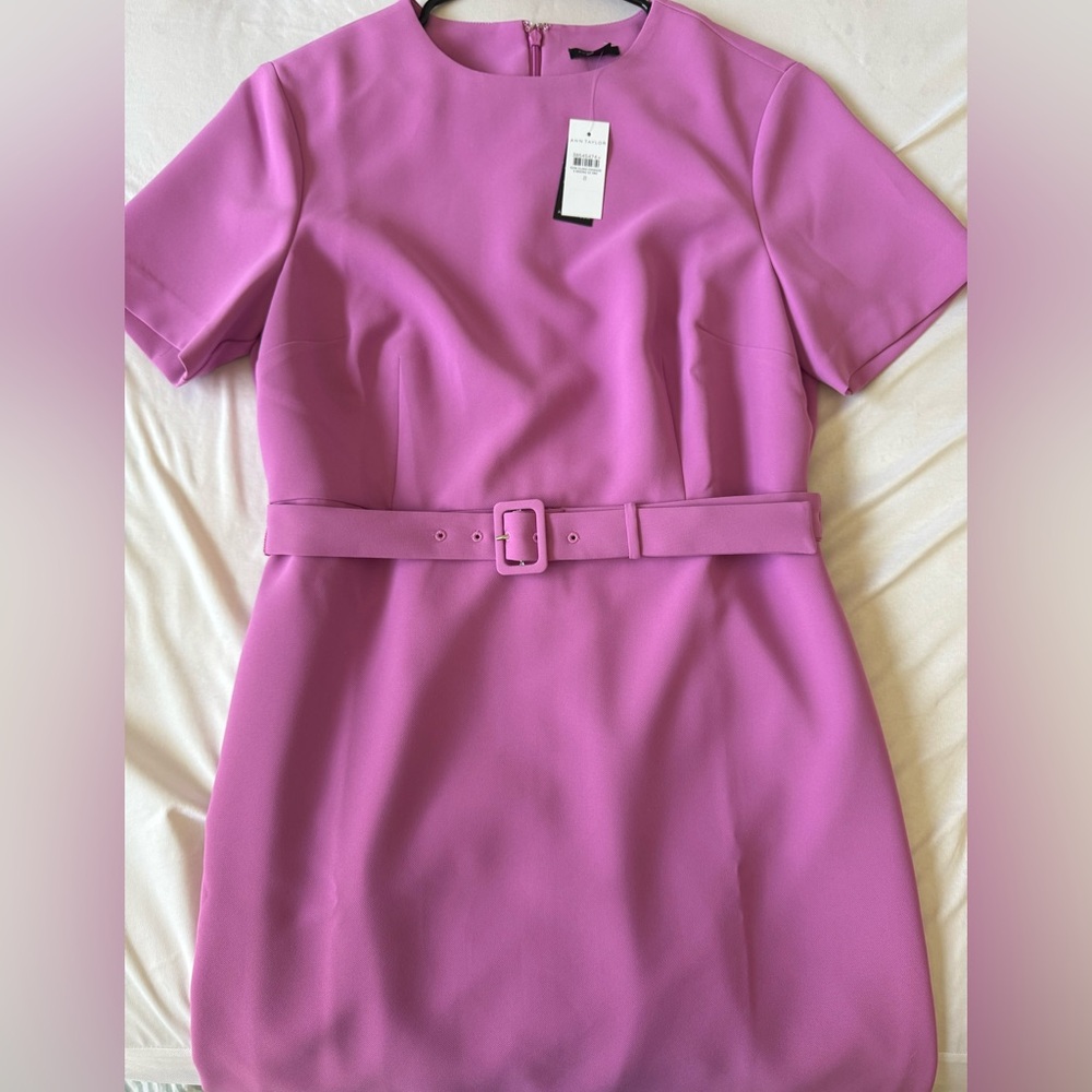 NWT Ann Taylor Belted Pink Dress